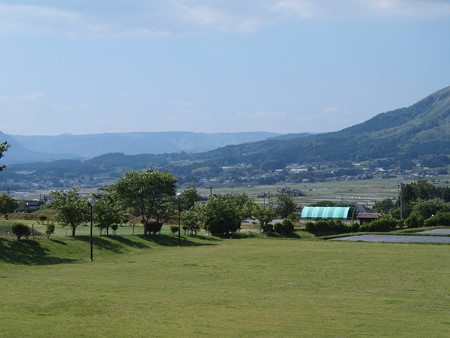 P5203012