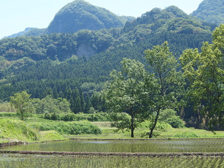 P5223041