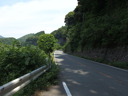 P5223753