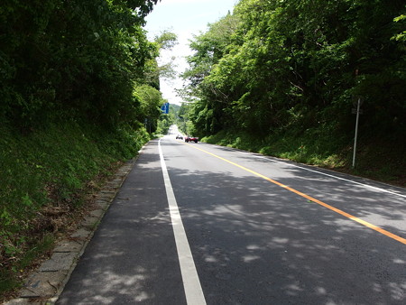 P5223761