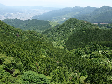 P5223790
