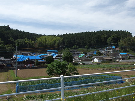 P5223820