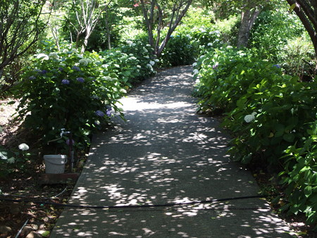 P6023884