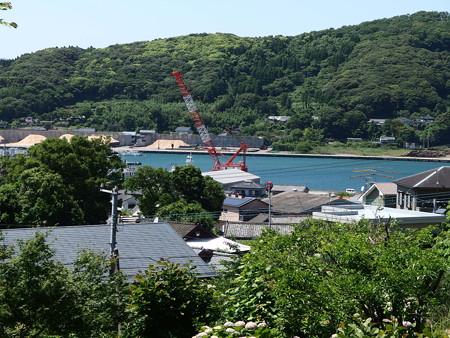 P6023889