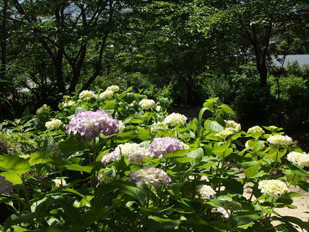 P6023890