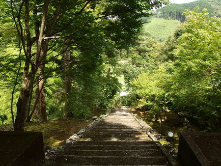 P7024005