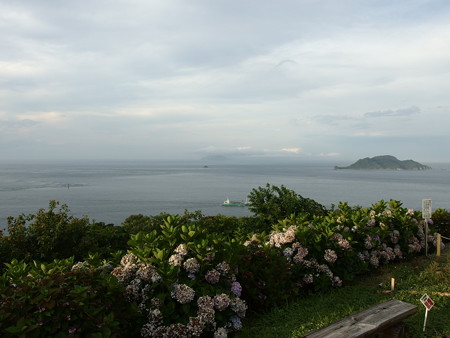 P7024092