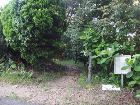 P7034132