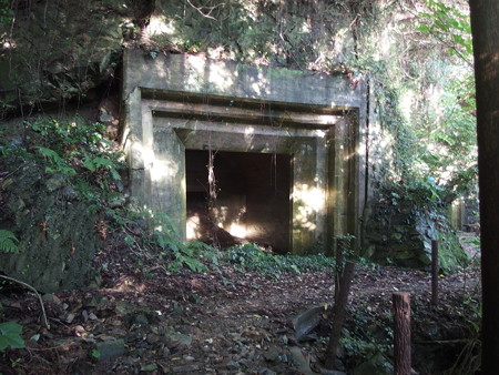 P7034133