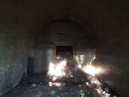 P7034134