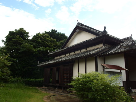 P7034195