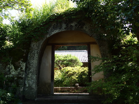 P7034206