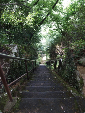 P7034238