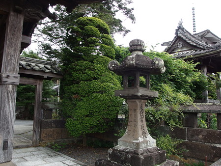 P7034251