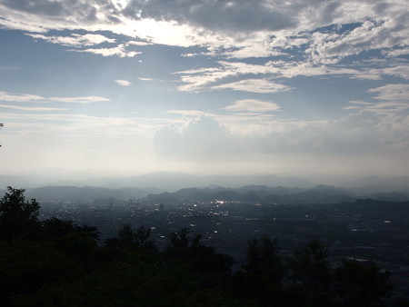 P7174264