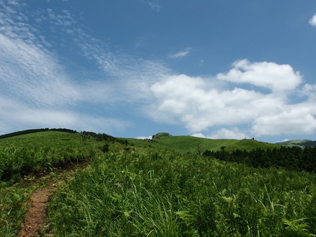 P7184324