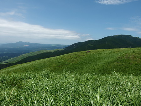 P7184335