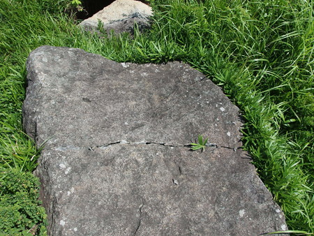 P7184357