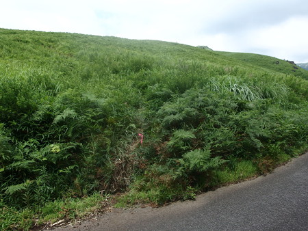 P7184389
