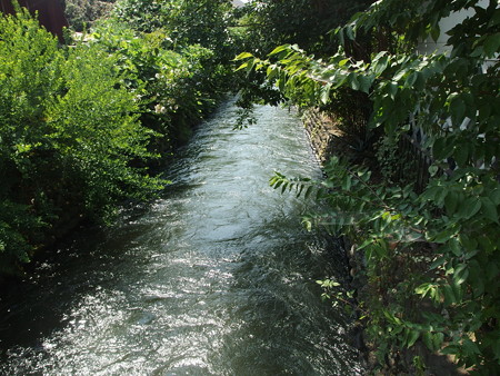 P8134969