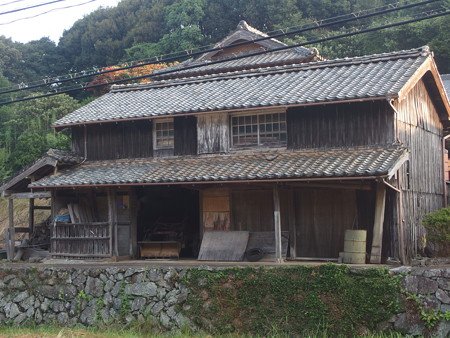 P8145083