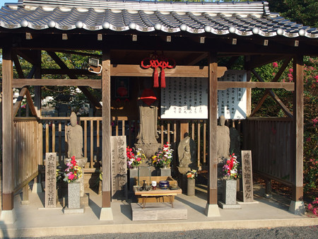 P8145091_edited