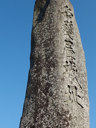 P8145118