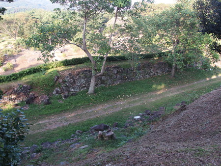 P8145151