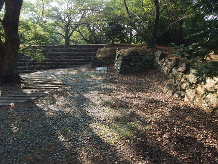 P8145155