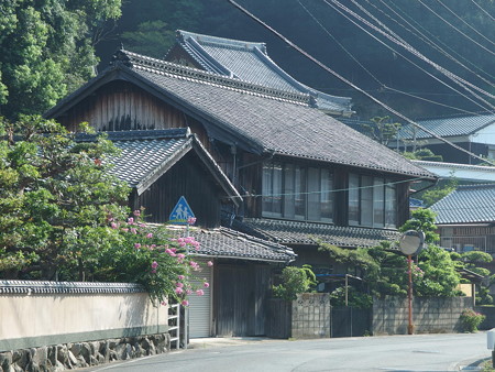 P8145212