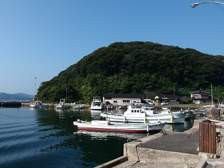 P8145207