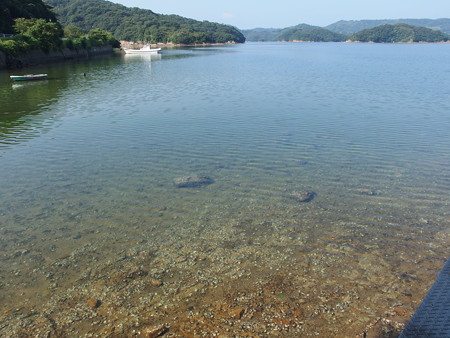 P8145215