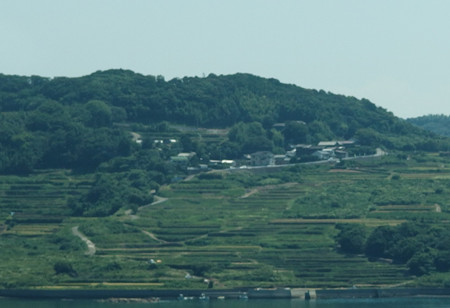 P8145293_edited