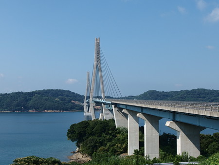P8145231