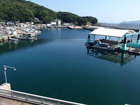 P8145235