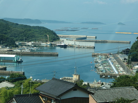 P8145259