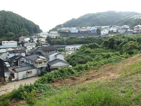 P8195301