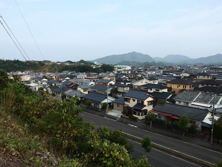 P8195304