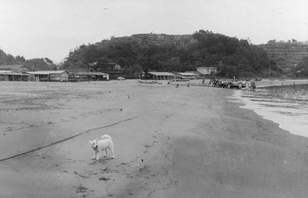 totoro beach-poru