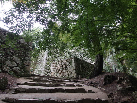 P9235764