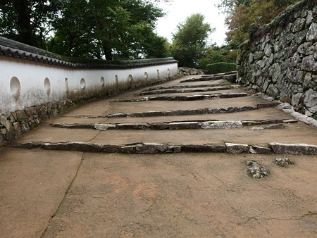 P9235769