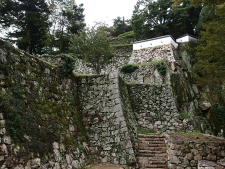 P9235768