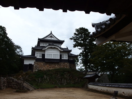 P9235783