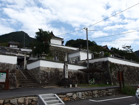 P9235882