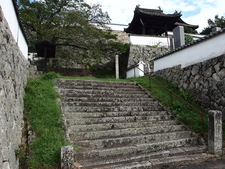 P9235903