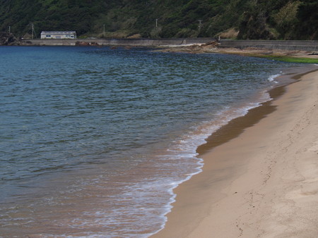 P9253495