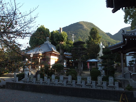 PA246539