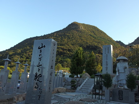 PA246545