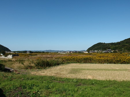 PA246489