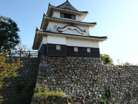 PA246524